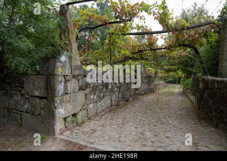 Ein gelber Pfeil markiert den Weg entlang der Camino Portugiesen auf einem Anwesen in der Nähe des Dorfes Ponte de Lima, Portugal. Diese Route des Camino de Santiag Stockfoto