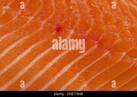 Frisches Lachs im Hintergrund für Sushi Stockfoto