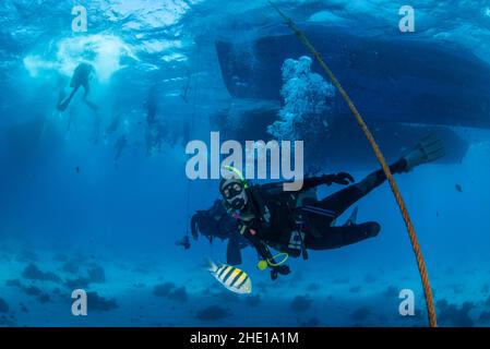 Ein Taucher schwimmt unter einem Boot mit anderen Tauchern noch auf der Oberfläche im Roten Meer, Ägypten. Stockfoto