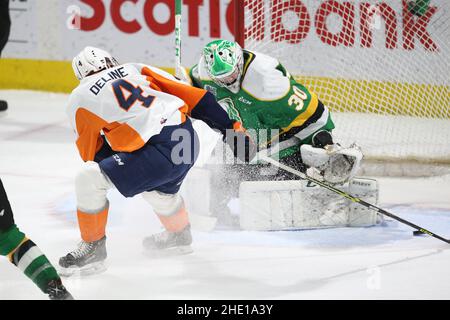 London, Ontario, Kanada. Am 7 2022. Januar spielen die London Knights und die Flint Firebirds wegen Covid in einem leeren Stadionspiel. Tyler Deline(4) versucht einhändig Brett Brochu(30) zu bewegen. Luke Durda/Alamy Credit: Luke Durda/Alamy Live News Stockfoto