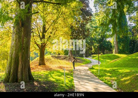 Weibliche Touristen steht und blickt auf malerische grüne Landschaft im dendrologischen Park. In Shekvetili. Georgien Stockfoto