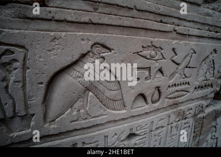 Eine alte ägyptische Schnitzerei eines Geiers und anderer Vögel auf der Tempelmauer bei Edfu, Ägypten. Stockfoto