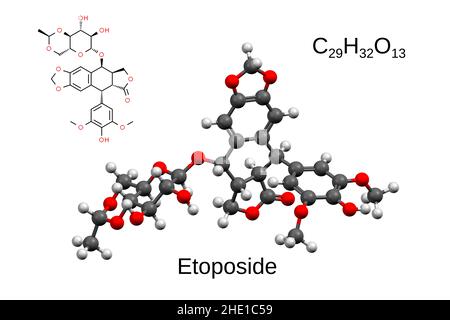 Chemische Formel, Strukturformel und 3D Ball-and-Stick-Modell des Krebsmedikaments Etoposid, weißer Hintergrund Stockfoto