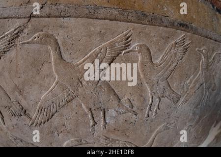 altägyptische Schnitzereien einer Kormoranschar an den Steinmauern des Tempels der Hatschepsut in Ägypten. Stockfoto