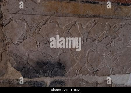 altägyptische Schnitzereien einer Kormoranschar an den Steinmauern des Tempels der Hatschepsut in Ägypten. Stockfoto