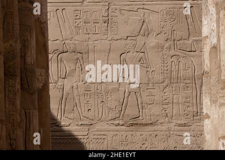 Eine alte ägyptische Reliefskulptur, die in die Wand am Karnak-Tempel, Ägypten, geschnitzt wurde. Stockfoto