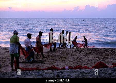 Sri Lanka Chilaw Karukupane - Karukupane Beach Fischer ziehen in einem Netz Stockfoto