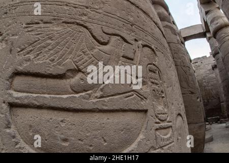 Der rekhyt oder Kiebitz mit menschlichen Armen symbolisiert die ägyptische Bevölkerung und erscheint in Tempeln in Gebieten geschnitzt, die der allgemeinen Bevölkerung erlaubt wurden. Stockfoto