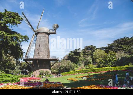 Seitenansicht der nördlichen (niederländischen) Windmühle mit wunderschönen Blumen und Bäumen im Golden Gate Park, USA Stockfoto