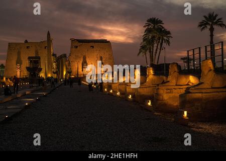 Die Allee der Sphinxes Straße am Luxor Tempel, Ägypten dramatisch beleuchtet in der Nacht. Die RAMS-Straße wurde kürzlich restauriert und wieder eröffnet. Stockfoto