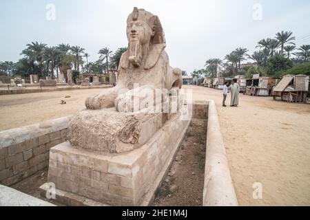 Eine Sphinx-Statue in einem Freiluftmuseum in Memphis, Ägypten, nicht weit von saqqara. Stockfoto