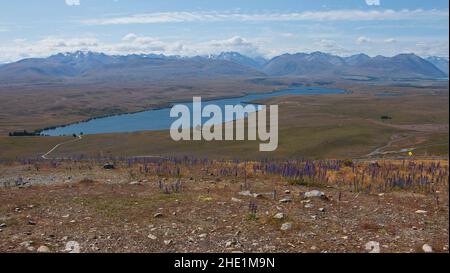 Panoramablick auf den Lake Alexandrina vom Mt John Observatory auf der Südinsel Neuseelands Stockfoto