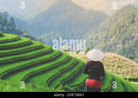 Mädchen genießen Reis Terrasse Aussichtin Mu cang Chai, Vietnam Stockfoto