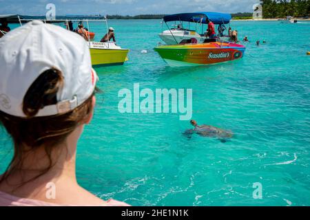 Touristen beobachten Schildkröten in der Lagune um Mauritius herum Stockfoto