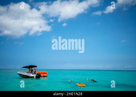 Touristen beobachten Schildkröten in der Lagune um Mauritius herum Stockfoto