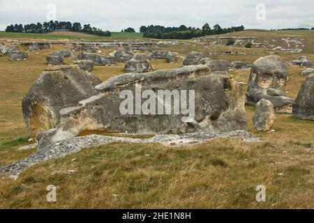 Elephant Rocks in der Nähe von Duntroon auf der Südinsel Neuseelands Stockfoto