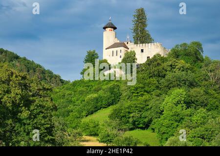 Schloss Birseck bei Arlesheim, Basel-Land, Schweiz. Der Himmel ist immer noch bewölkt, aber die Sonne scheint. Bild aus öffentlichem Boden. Stockfoto