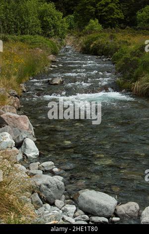 Monkey Creek im Fiordland National Park in Southland auf der Südinsel Neuseelands Stockfoto