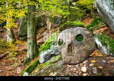 Herbstzeit Bunte Buchenhölzer des Isergebirges bei Liberec, Tschechien Stockfoto