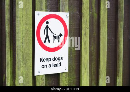 Hunde müssen an der Leine oder Leine geführt werden Schild für öffentlichen Park-Spielplatz Stockfoto