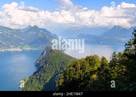 Blick auf den Vierwaldstättersee in den schweizer Alpen, Schweiz, vom Burgenstock nach Süden gesehen Stockfoto