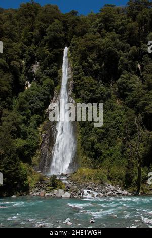 Thunder Creek Falls am Haast River an der Westküste auf der Südinsel Neuseelands Stockfoto