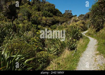 Wharekai Te Kou Spaziergang an der Jackson Bay im Mount Aspiring National Park, Westküste auf der Südinsel Neuseelands Stockfoto