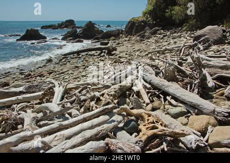 Küste am Wharekai Te Kou Spaziergang an der Jackson Bay im Mount Aspiring National Park, Westküste auf der Südinsel Neuseelands Stockfoto