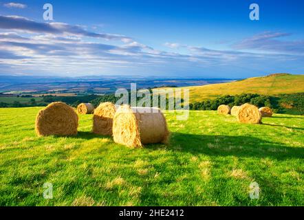 Großbritannien, Schottland, Tayside, Strathearn große Heuballen, bei Dämmerung, Stockfoto