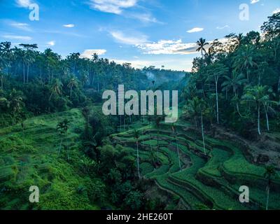 Tegalalang Reisterrassen, Ubud, Bali, Indonesien Stockfoto