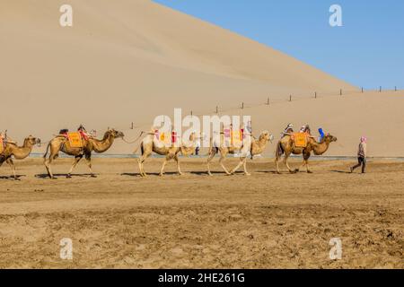 DUNHUANG, CHINA - 21. AUGUST 2018: Kamele für Touristenfahrten auf der Singing Sands Dune in der Nähe von Dunhuang, Provinz Gansu, China Stockfoto