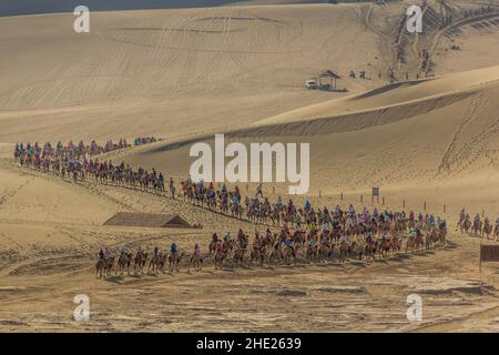 DUNHUANG, CHINA - 21. AUGUST 2018: Touristen reiten auf Kamelen in der Singing Sands Dune in der Nähe von Dunhuang, Provinz Gansu, China Stockfoto