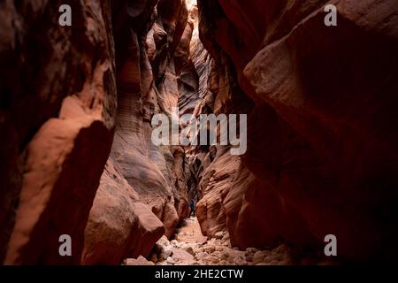 Alleinwanderer, die den Blick auf den Buckskin Gulch im Süden von Utah genießen Stockfoto