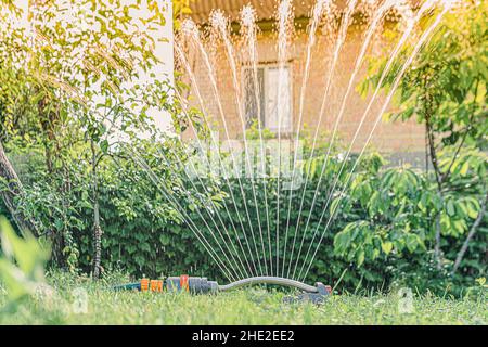 Sprüher-Sprinkler im Garten auf Rasen. Rasensprenger sprüht Wasser auf grünes Gras. Bewässerungssystem. Sonnenstrahl-Hintergrundbeleuchtung. Landhaus mit grünem Rasen Stockfoto
