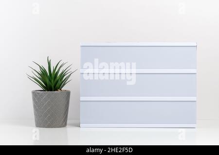 Grüne Pflanze in einem Topf mit leerem Leuchtkasten auf weißem Hintergrund. Modell-Konzept. Stockfoto