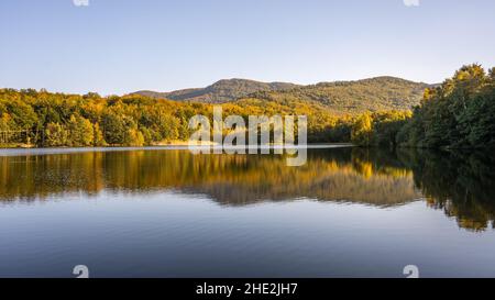 Herbst Buchenwald Reflecter im Wasser Stockfoto