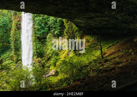 North Falls; Silver Falls State Park; Oregon; USA Stockfoto