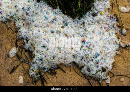 Bunte Blasen in Meeresschaum; Fort Stevens State Park; Hammond; Oregon; USA Stockfoto
