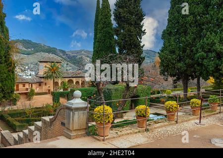 GRANADA ANDALUCIA SPANIEN ALHAMBRA DER PARTAL PALAST EL PALACIO DEL PARTAL BLICK VON DEN TERRASSENFÖRMIG ANGELEGTEN GÄRTEN Stockfoto