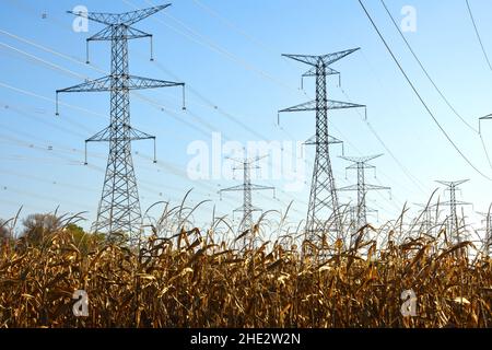 Strommasten in einem Feld Stockfoto