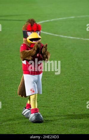 Swindon, Großbritannien. 07th Januar 2022. Swindon, England, 7th. Januar: Swindon Mascot. FA Cup 3rd Runde. Swindon Town V Manchester City auf dem Heimstadion des Swindon Town FC. Terry Scott/SPP Quelle: SPP Sport Press Photo. /Alamy Live News Stockfoto