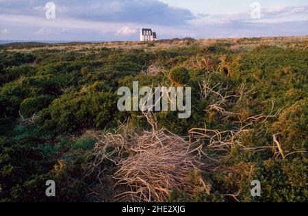 Pointe du Raz (Finistère), Hotel de l'Iroise Einsames Haus in der Dünenlandschaft Stockfoto