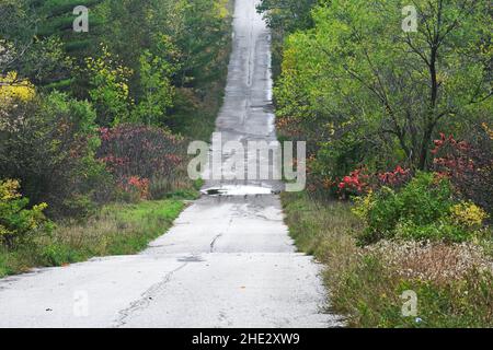 Straße im Wald - Rouge Valley, Toronto, Kanada Stockfoto