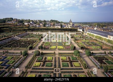 Villandry, Schloß, Gemüsegarten (Herbst) Stockfoto