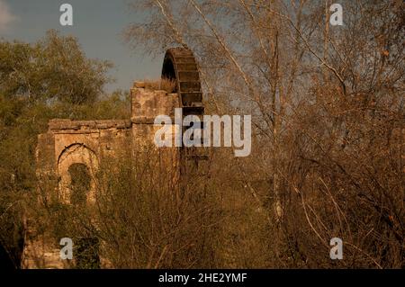 Alte arabische Mühle am Rio Guadalquivir in Cordoba, Andalusien. Stockfoto