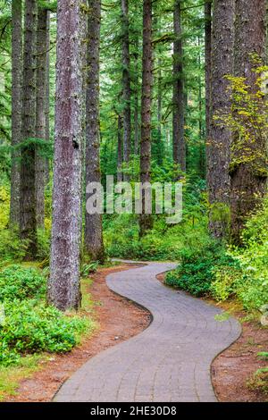 Gewundener Pfad; Silver Falls State Park; Oregon; USA Stockfoto