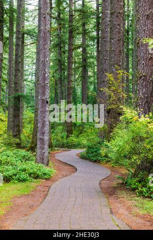 Gewundener Pfad; Silver Falls State Park; Oregon; USA Stockfoto