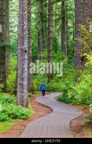 Wanderer auf kurvenreichen Pfaden; Silver Falls State Park; Oregon; USA Stockfoto