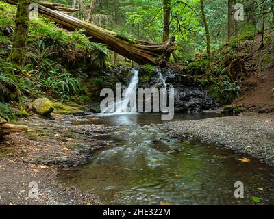 WA21015-00...WASHINGTON - Rustikale Wasserfälle am Cascade Creek im Moran State Park auf Orcas Island. Stockfoto