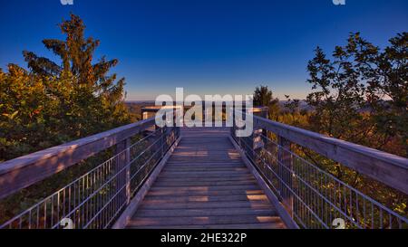 Panabora! Der Aussichtsturm und der Baumkronenweg sind sehenswert. Die Baumbahn ist schön, aber der Turm ist natürlich die Hauptattraktion. Stockfoto